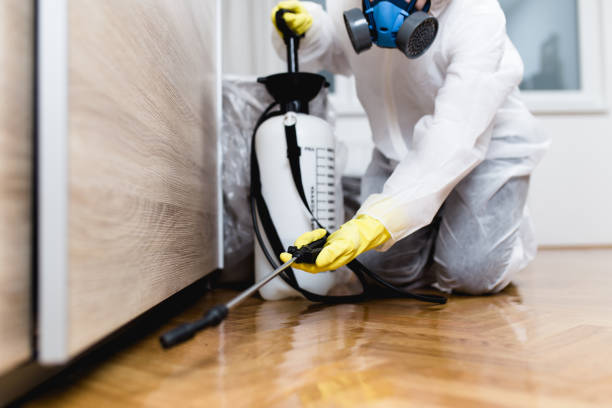 Best Flea Control Services  in Braidwood, IL