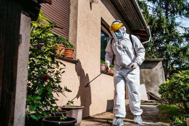 Best Ant Control Services  in Braidwood, IL