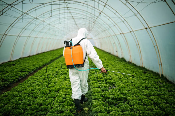 Best Ant Control Services  in Braidwood, IL