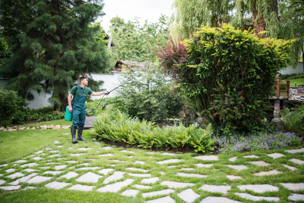 Best Pest Control for Businesses  in Braidwood, IL