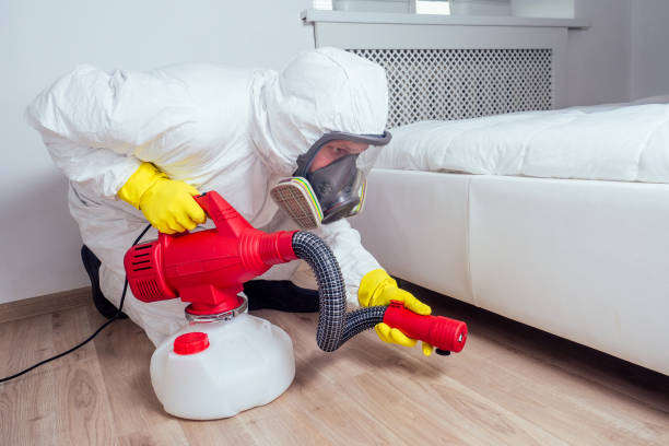 Best Best Pest Control Companies  in Braidwood, IL