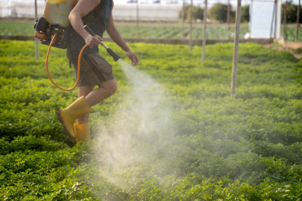 Best Wildlife Control Services  in Braidwood, IL