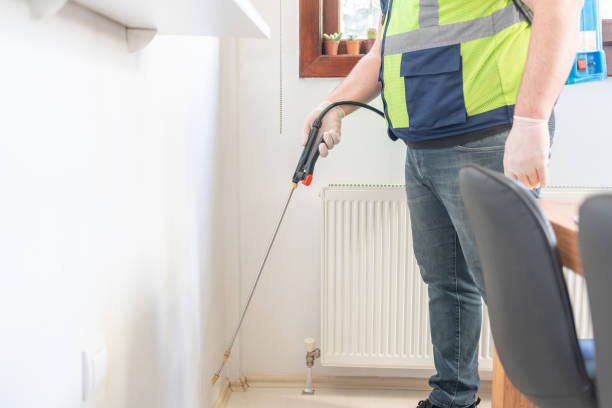 Best Ant Control Services  in Braidwood, IL