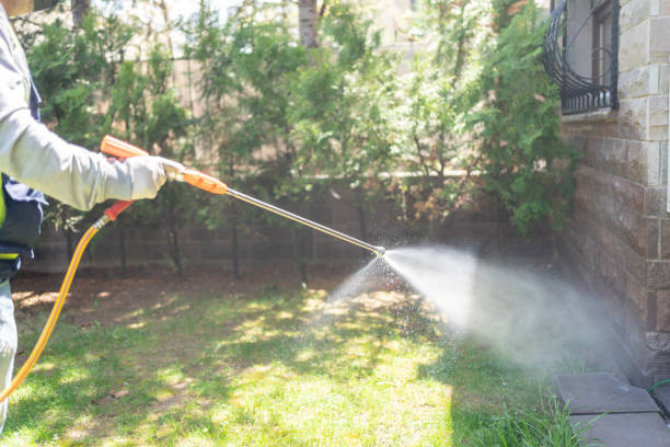 Best Pest Control Near Me in Braidwood, IL