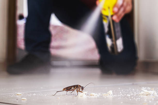 Best Exterminator Services  in Braidwood, IL