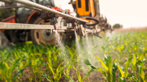 Best Insect Control  in Braidwood, IL