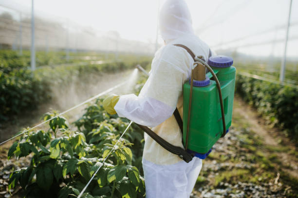 Best Pest Control Near Me  in Braidwood, IL